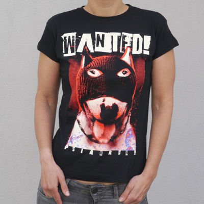 Women's T-shirt Bull Terrier Wanted