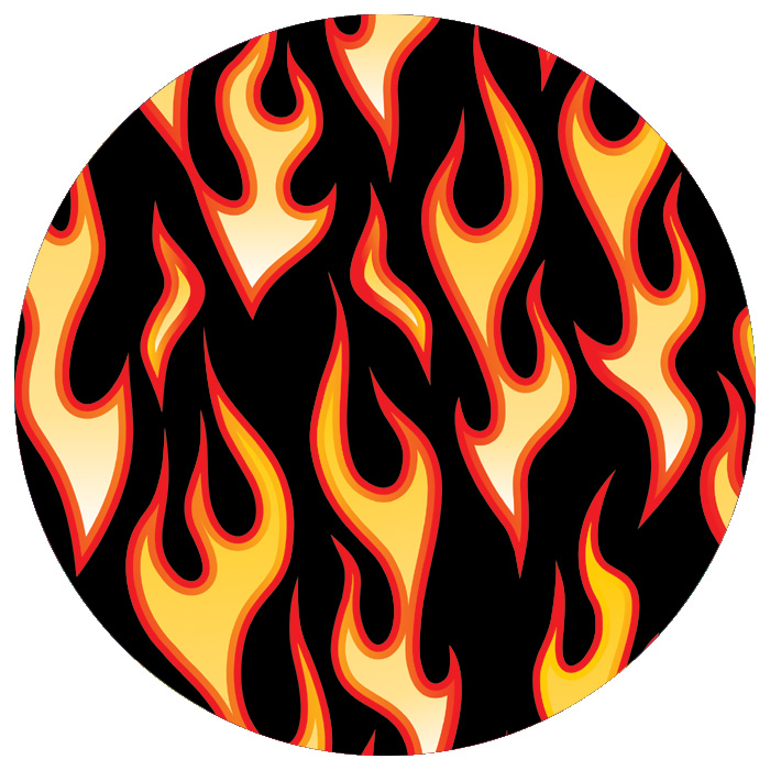 Dog On Fire Dog On Fire