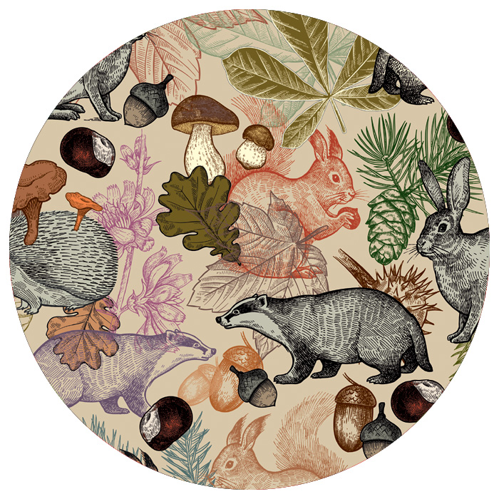 Forest Treasures Forest Treasures