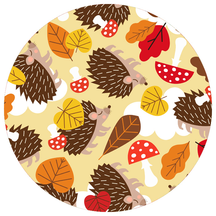 Hedgehog Dreamer Hedgehog Dreamer