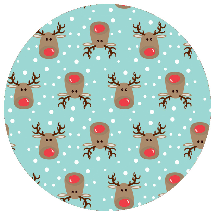 Rudolph the Reindeer Rudolph the Reindeer