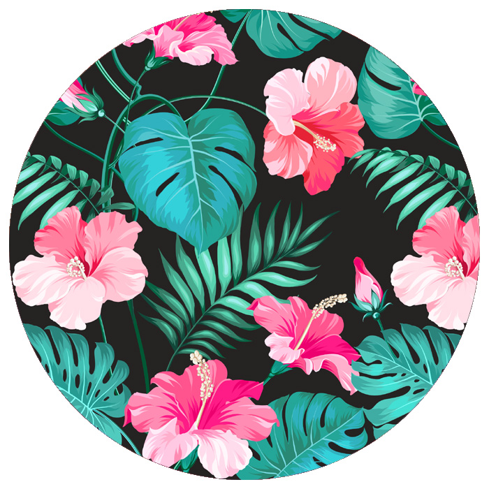 Tropical Monstera Tropical Monstera