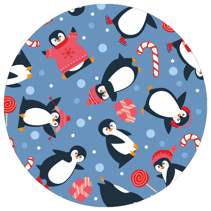 Penguin Winter Penguin Winter