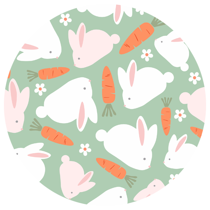 Catch the Bunny Catch the Bunny