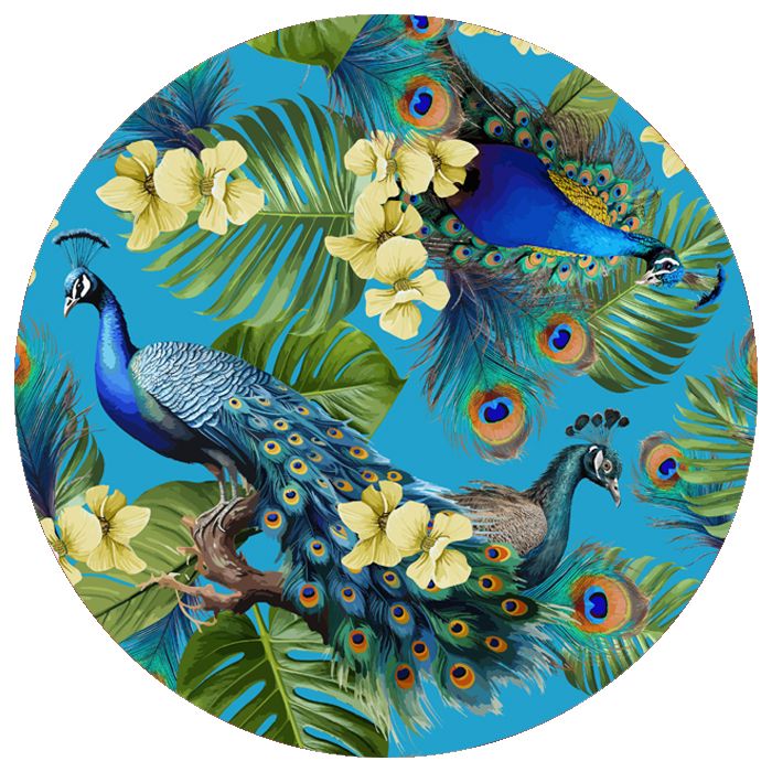 Peacock's Eye Peacock's Eye