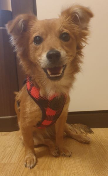 Daria, Gdańsk Daria, Gdańsk