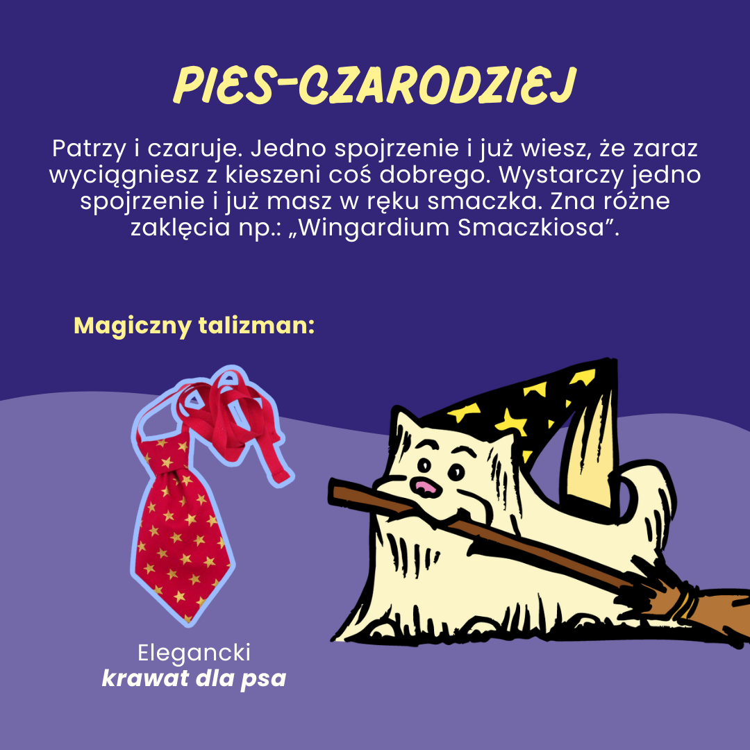 Pies_czarodziej_psiakrew_sklep_blog