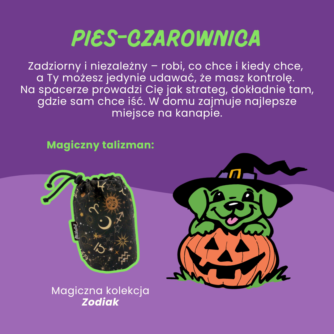 Pies_czarownica_psiakrew_sklep_blog