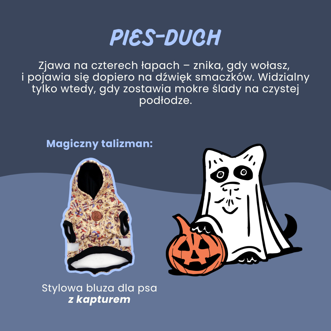 Pies_duch_psiakrew_blog_sklep