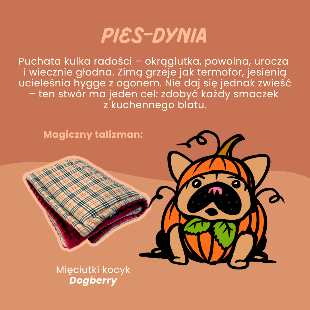 Pies_dynia_psiakrew_sklep_blog