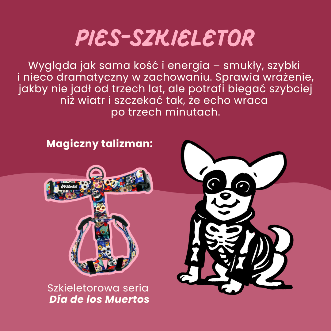 Pies_szkieletor_psiakrew_sklep_blog