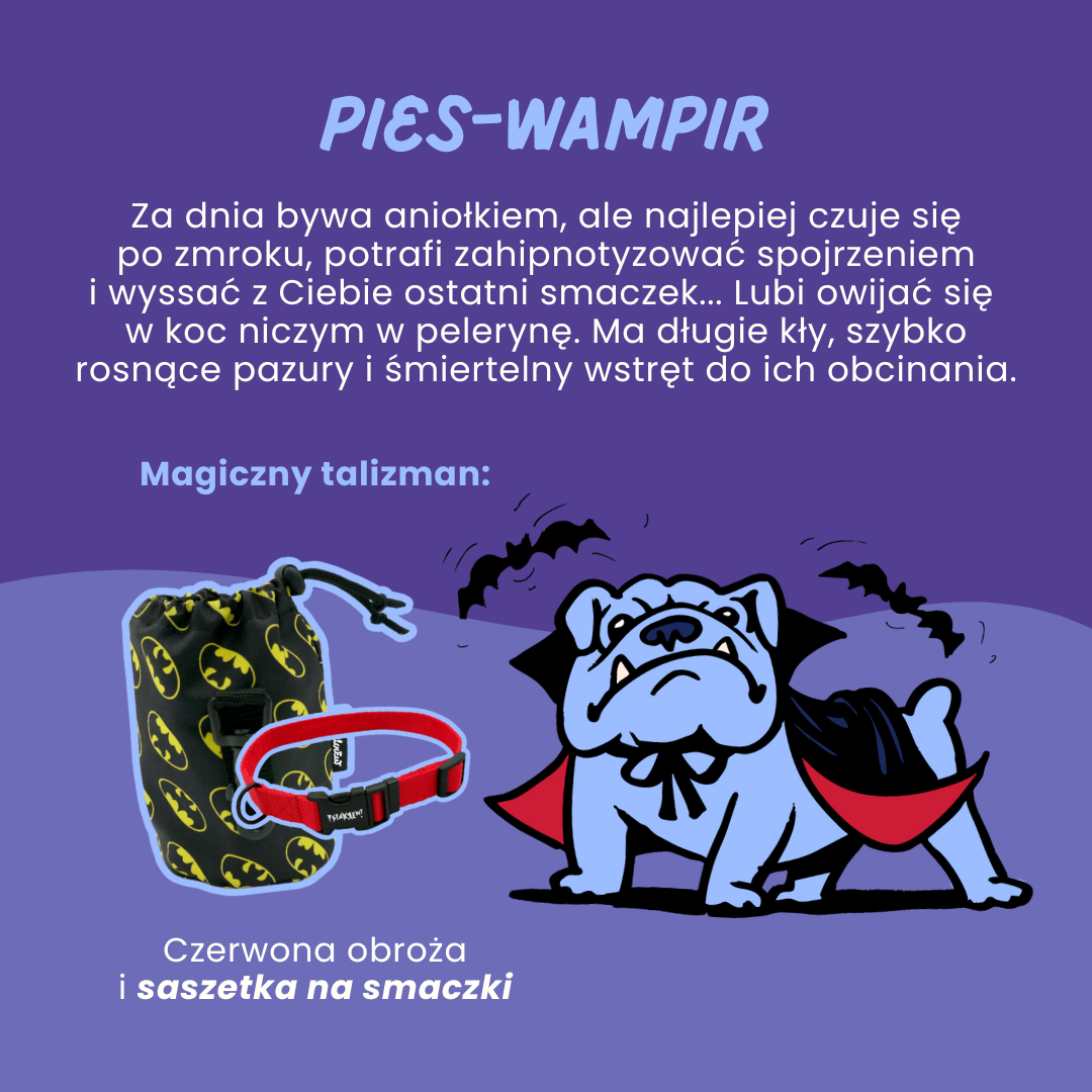 Pies_wampir_psiakrew_sklep_blog