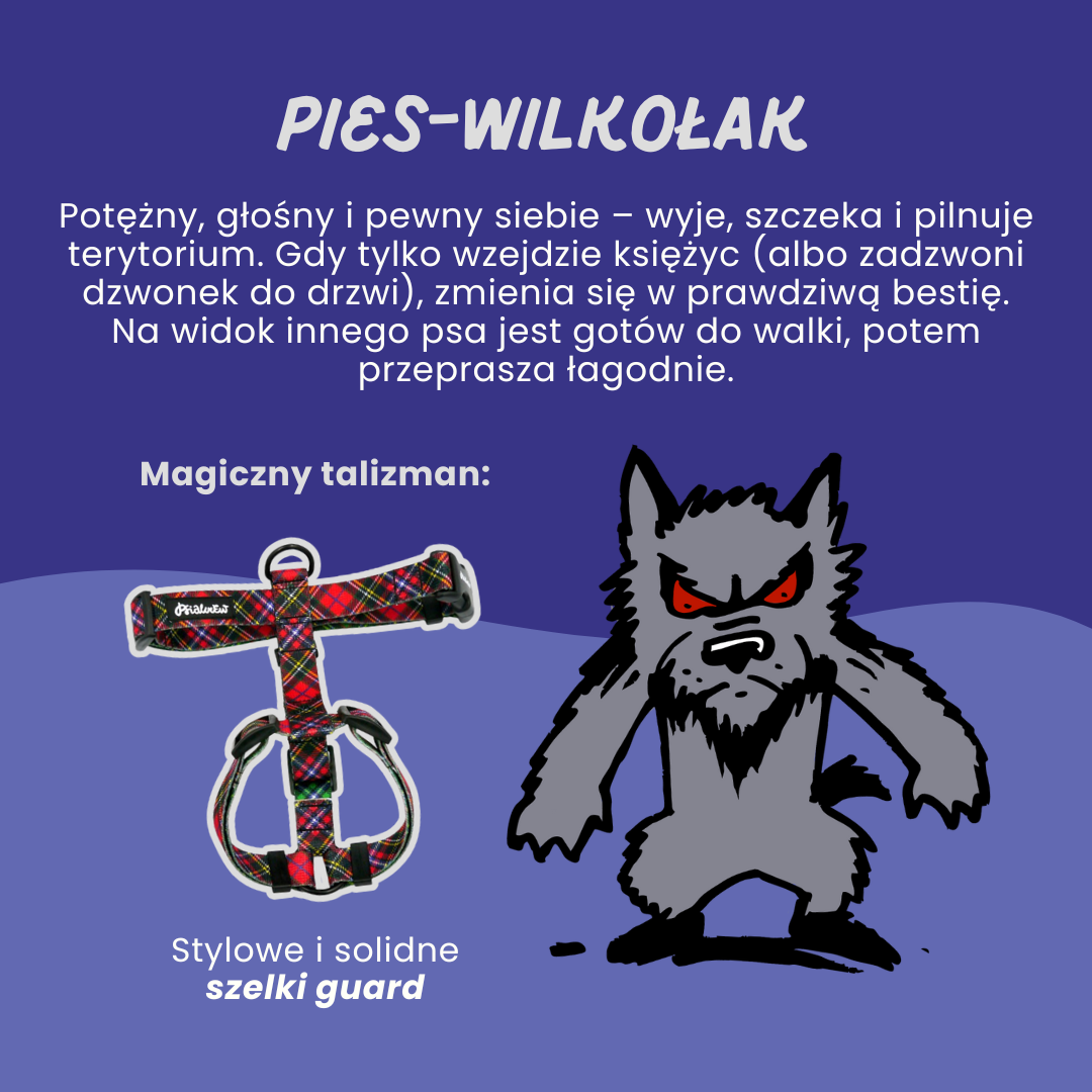 Pies_wilkolak_psiakrew_sklep_blog