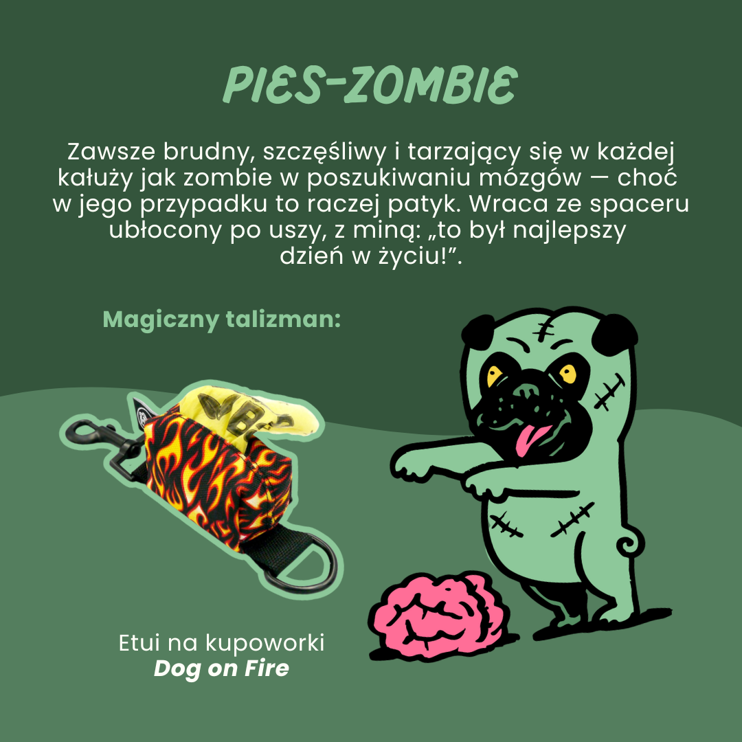 Pies_zombie_psiakrew_sklep_blog