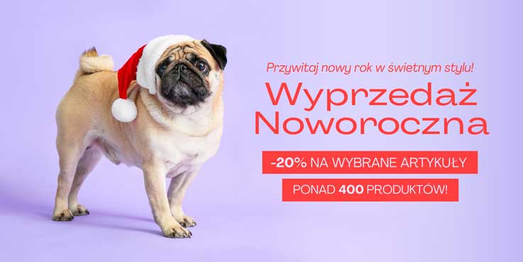 WYPRZEDAŻ NOWOROCZNA2