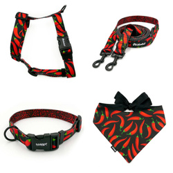 ACCESSORY KIT. Medium dog. Red Hot Chili Psiakrew Series; Collar, Harness, Leash, Bandana