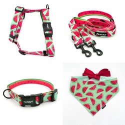 ACCESSORY KIT. Medium dog. Watermelon Psiakrew Series; Collar, Harness, Leash, Bandana