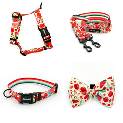 ACCESSORY KIT. Small dog. Fruit Jelly Psiakrew Series; Collar, Harness, Leash, Bow tie