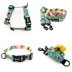 ACCESSORY KIT. Small dog. Ice Ice Baby Psiakrew Series; Collar, Harness, Leash, Pouch