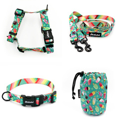 ACCESSORY KIT. Small dog. Ice Ice Baby Psiakrew Series; Collar, Harness, Leash, Sachet for dog treats