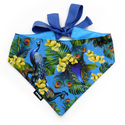 Dog Bandana Peacock's Eye Psiakrew handkerchief style to tie around your pet’s neck