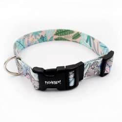 Dog Collar Psiakrew Koala Bear 2.5 cm, 1"  wide