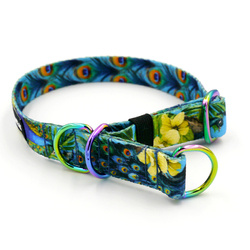 Half-choke collar Peacock's Eye Psiakrew, 2 cm wide, for small dogs, Holo extras