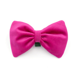 Velvet pink bow tie for a dog an elegant ornament for special occasions, attached to the collar