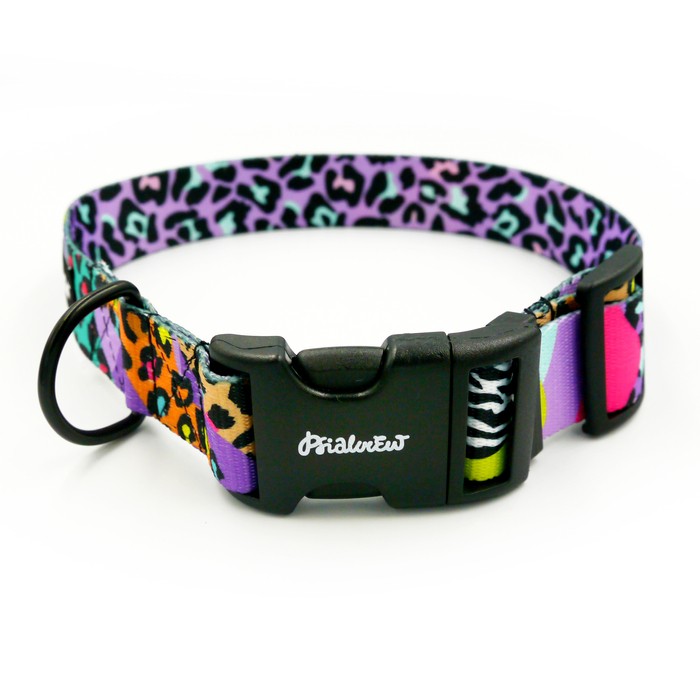 Crazy store dog collars