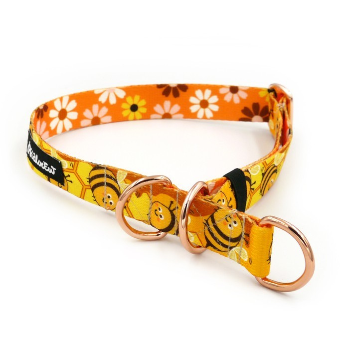 Half choke dog collar sale