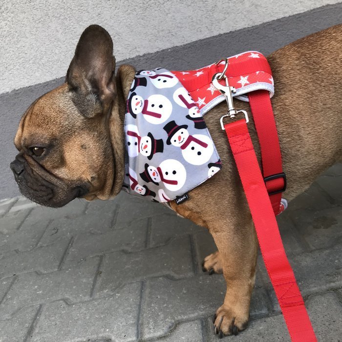 tie on dog bandana