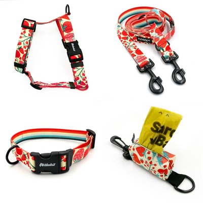 ACCESSORY KIT. Big dog. Fruit Jelly Psiakrew Series; Collar, Harness, Leash, Pouch