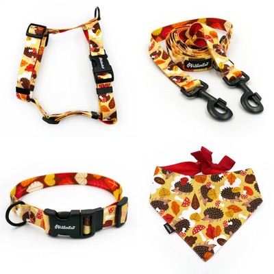 ACCESSORY KIT. Big dog. Hedgehog Dreamer Psiakrew Series; Collar, Harness, Leash, Bandana