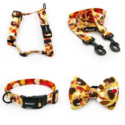 ACCESSORY KIT. Big dog. Hedgehog Dreamer Psiakrew Series; Collar, Harness, Leash, Bow Tie