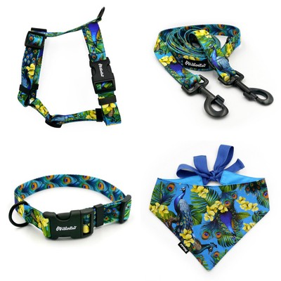 ACCESSORY KIT. Big dog. Peacock's Eye Psiakrew Series; Collar, Harness, Leash, Bandana