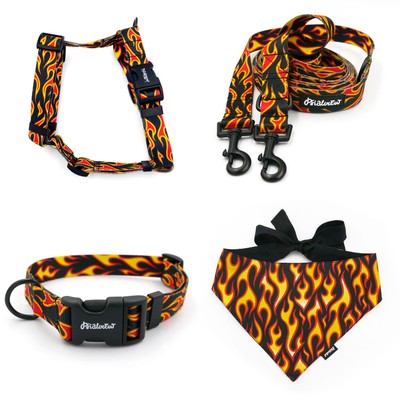 ACCESSORY KIT. Medium dog. Dog on Fire Psiakrew Series; Collar, Harness, Leash, Bandana