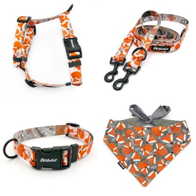 ACCESSORY KIT. Medium dog. Foxy Lady Psiakrew Series; Collar, Harness, Leash, Bandana