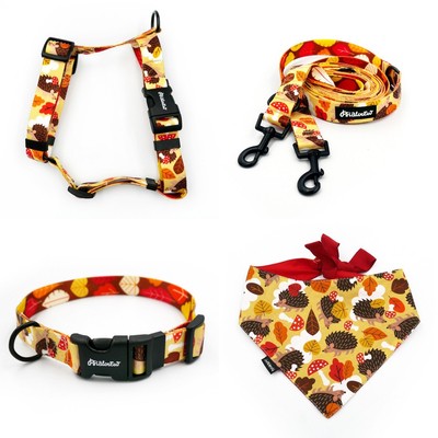 ACCESSORY KIT. Medium dog. Hedgehog Dreamer Psiakrew Series; Collar, Harness, Leash, Bandana