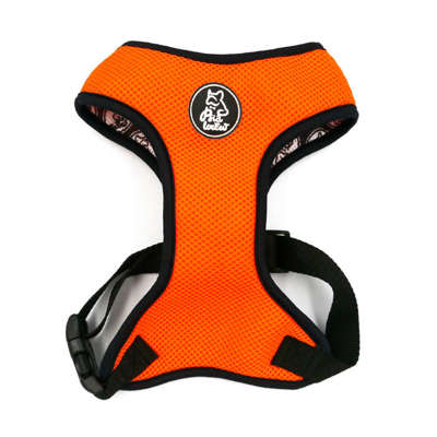 Dog Harness, Always Feeling Cool, Super Soft Psiakrew Mandarine