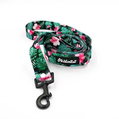 Dog Leash Tropical Monstera width 2.5 cm, 1"  wide, black snap hook 6 cm