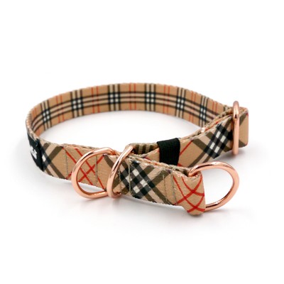 Half-choke collar Dogberry 2 cm wide, for small dogs, rose gold extras