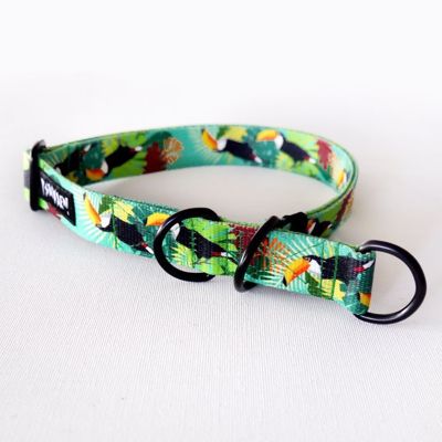 Half-choke collar Toucan, 2.5 cm wide, medium and big dogs, black extras