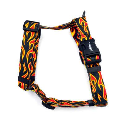 Harness for Dog, Model Dog On Fire Guard Harness, black extras