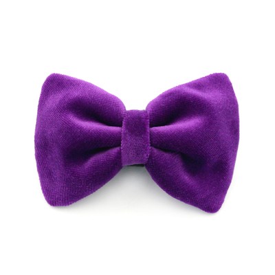 Velvet Purple bow tie for a dog an elegant ornament for special occasions, attached to the collar