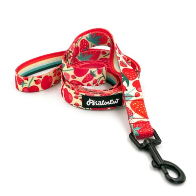 Walking leash for Dog Fruit Jelly Psiakrew, width 2 cm, black snap hook 6 cm