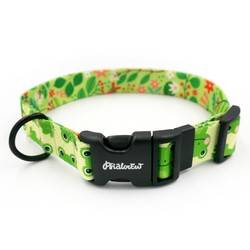 Dog Collar Psiakrew Green Frogs 2.5 cm wide, black extras