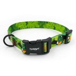 Dog Collar Psiakrew Toucan 2.5 cm 1"  wide, black extras