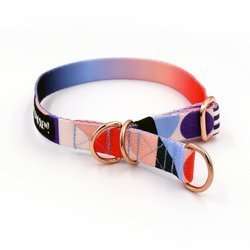 Half-choke collar Boogie Woogie, 2 cm wide, for small dogs, golden extras