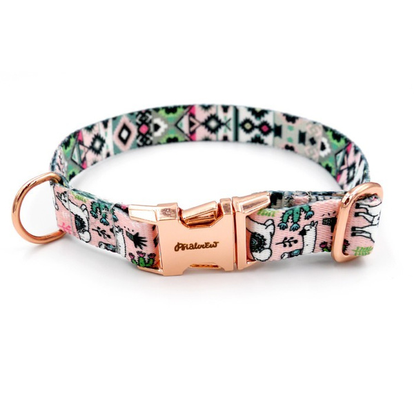 Dog Collar Psiakrew Lama, 2 cm 0.78"  wide, for smaller dogs, pink gold clip