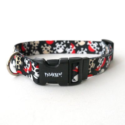 Dog Collar Psiakrew Pirates 2.5 cm 1"  wide